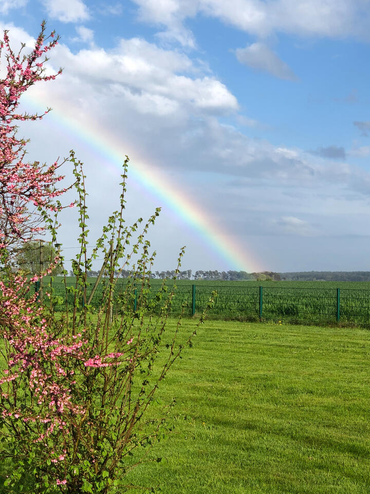 Eingezäunter Campingplatz auf Rügen für Hunde geeignet