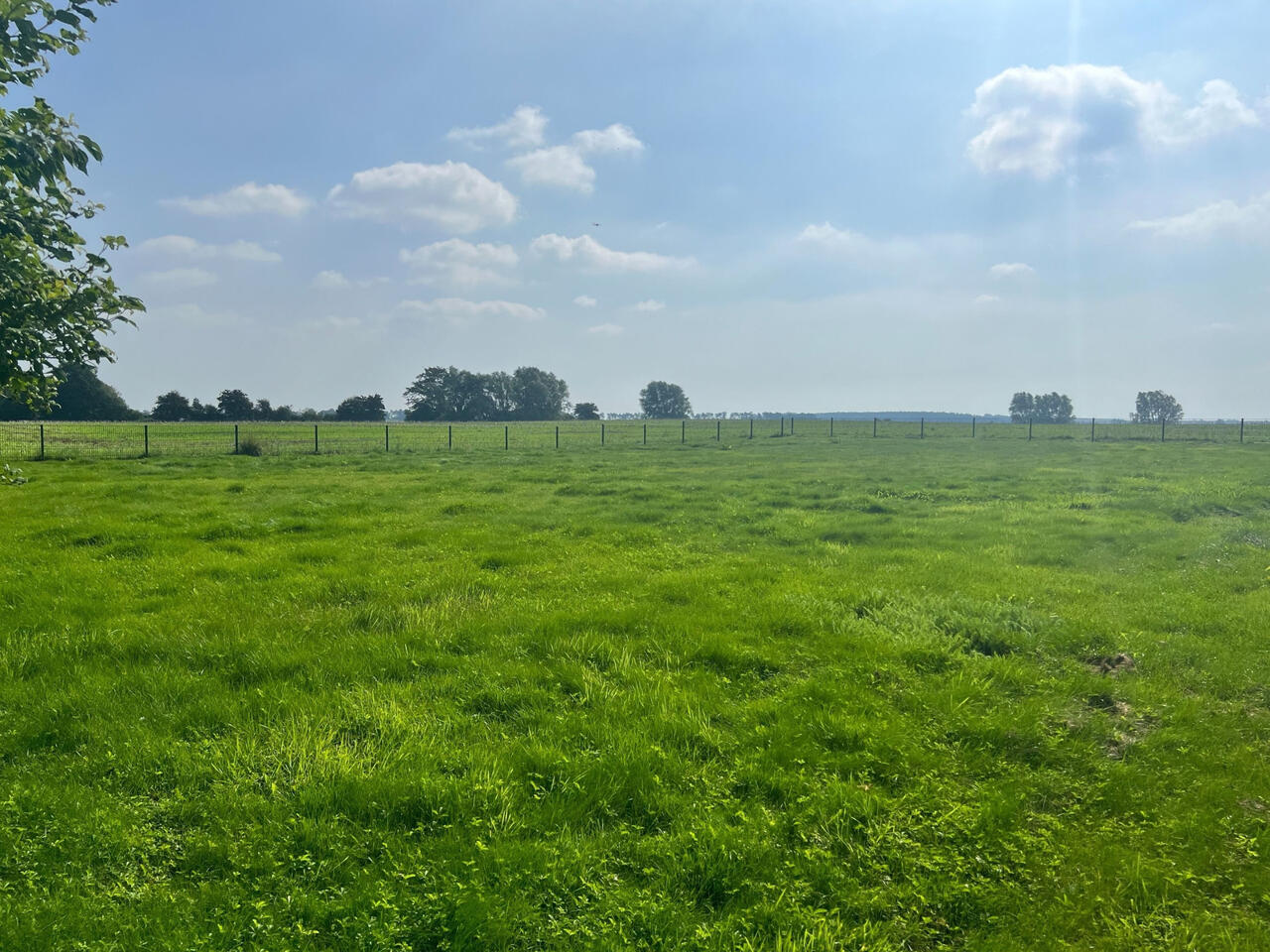 Vollständig eingezäunte Camper Wiese für Haustiere Hunde und Katzen geeignet